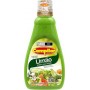 MOLHO SALADA CAMPILAR LIMAO 240ML