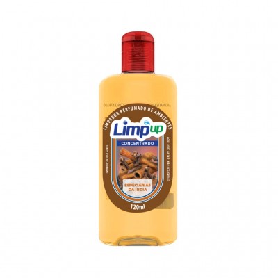 LIMPADOR CONC LIMP UP ESPEC INDIA 120ML