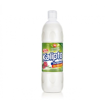 Desinfetante Bombril Kalipto Eucalipto 750ml