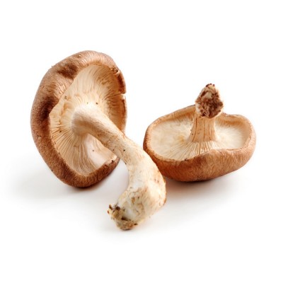 Cogumelo Shitake 200gr