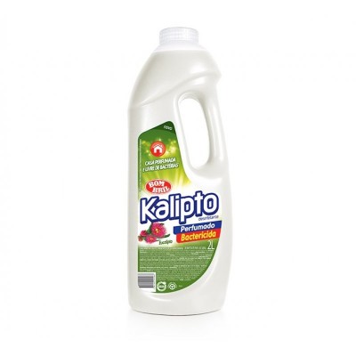 Desinfetante Bombril Kalipto Eucalipto 2lt